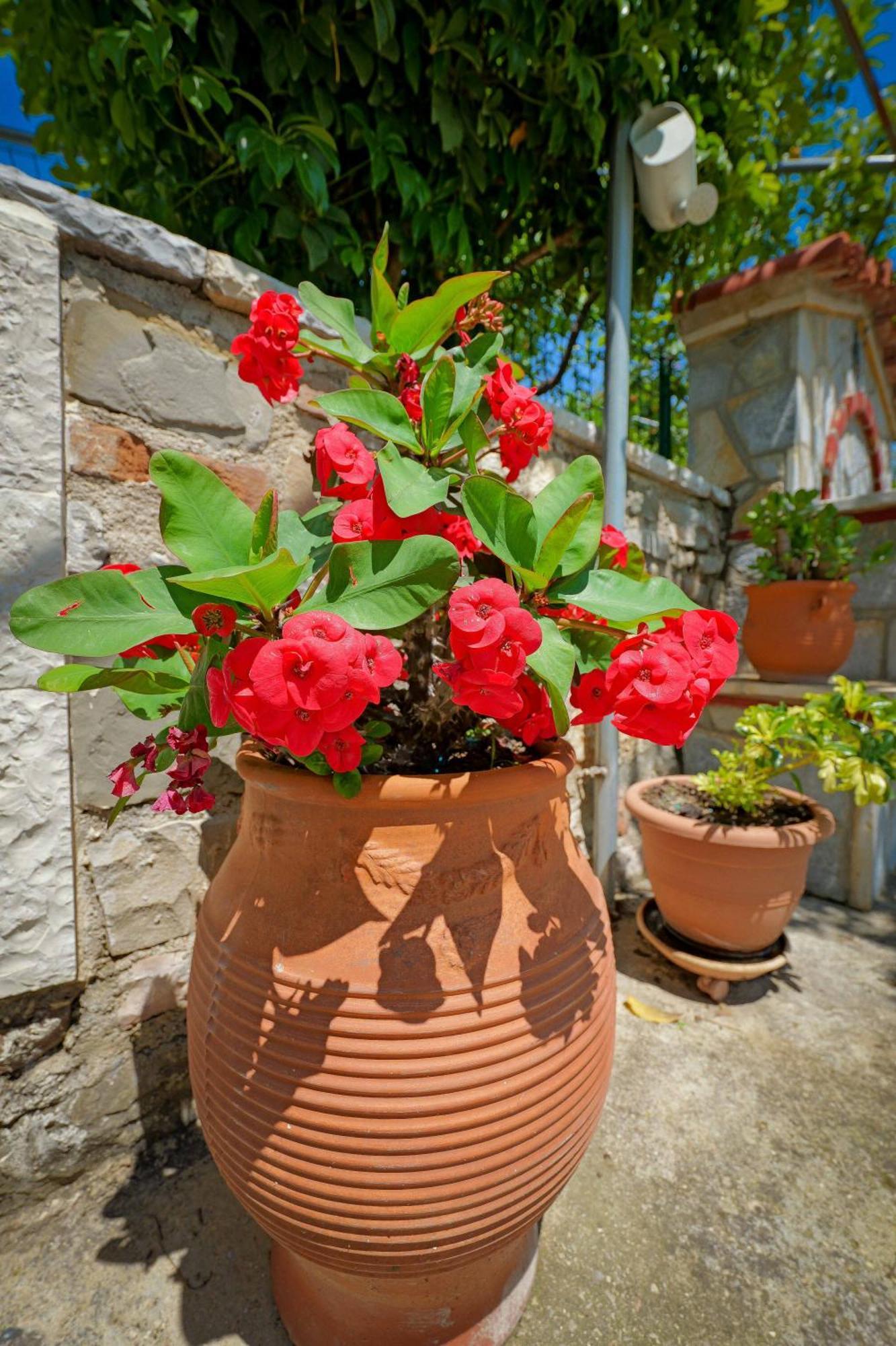 Hotel Shena The Farm Boutique Mesopotam Exterior foto